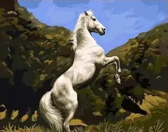 White horse on the rack Framed Acrylic Paint by Number kit 40x50cm hand painted painting by numbers
White horse on the rack Framed Acrylic Paint by Number kit 40x50cm hand painted painting by numbers
