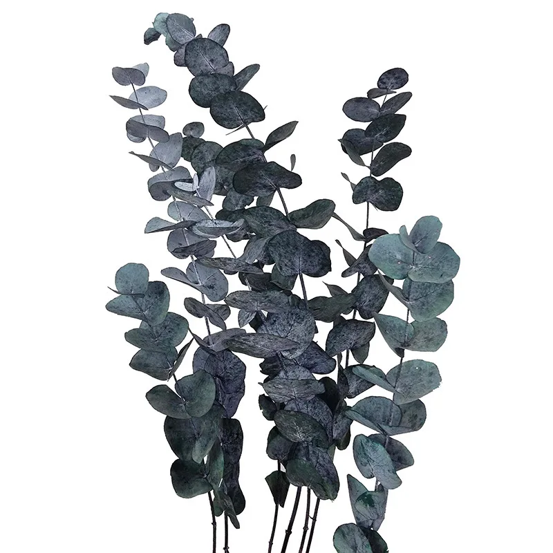 50g Real Natural Dried Pressed Eucalyptus In Geen / Red,Decorative Copper grass Branch,DIY Bouquet Arranging Accessories
50g Real Natural Dried Pressed Eucalyptus In Geen / Red,Decorative Copper grass Branch,DIY Bouquet Arranging Accessories