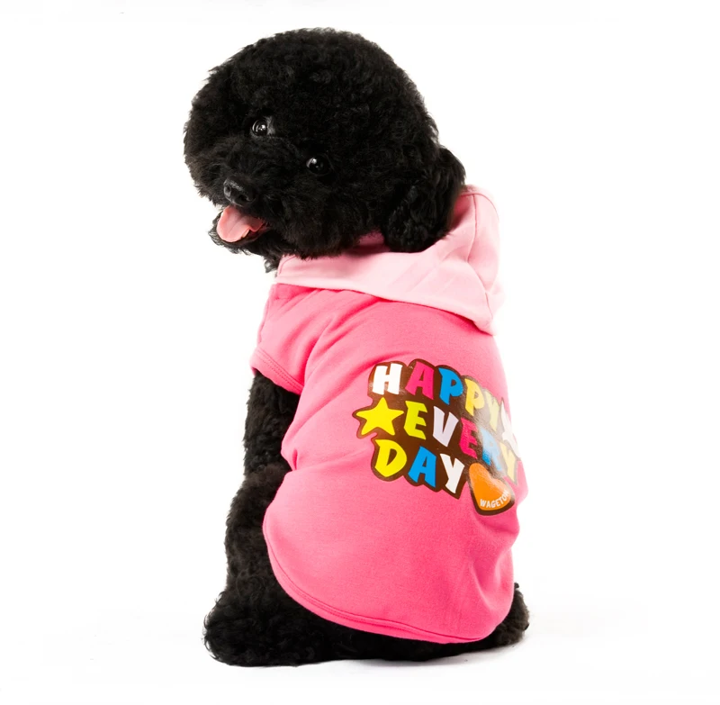 15 pug dog clothes