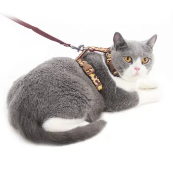 Pet Supplies Fashion Small Dog Cat Shape Chest Strap Single Root Pet Traction Rope Cat Belt Pet Leash Small Strong Durable
Pet Supplies Fashion Small Dog Cat Shape Chest Strap Single Root Pet Traction Rope Cat Belt Pet Leash Small Strong Durable