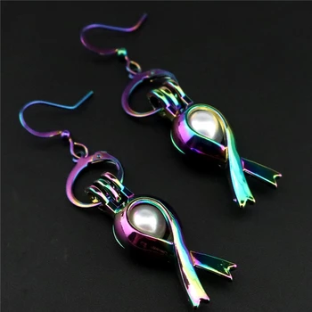 C-E285 Rainbow Drop Earrings Breast Cancer Ribbon Sign Cage Oyster Pearl Dangle Hook Earrings For Women DIY Locket Jewelry
C-E285 Rainbow Drop Earrings Breast Cancer Ribbon Sign Cage Oyster Pearl Dangle Hook Earrings For Women DIY Locket Jewelry