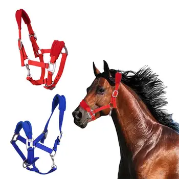 

NEW Adjustable Soft Horse Riding Equipment Halter Horse Bridle With Bit and Fixed Rein Belt For Horse Equestrian Accessories