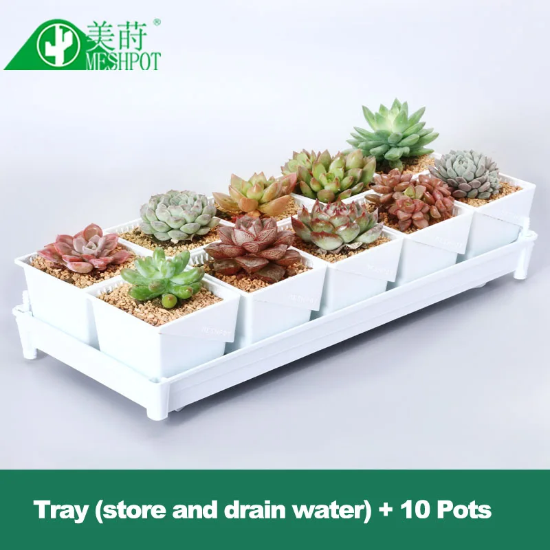 Meshpot Succulent Pot Flower Pot Plant Container Root Controlling Basin Home Decor,No Root Rot Garden Pot (10PCS Pot + 1PC Tray)
Meshpot Succulent Pot Flower Pot Plant Container Root Controlling Basin Home Decor,No Root Rot Garden Pot (10PCS Pot + 1PC Tray)