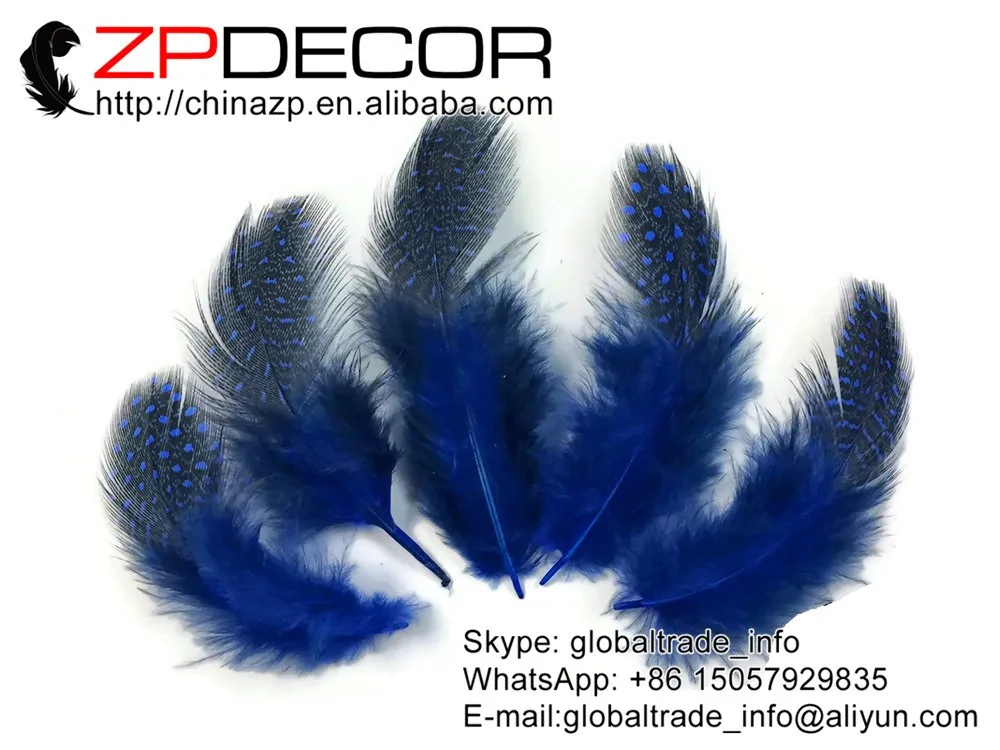 Polka Dot Feathers, 1 4 lb - ROYAL BLUE Guinea hen plumage Feathers Wholesale (bulk)