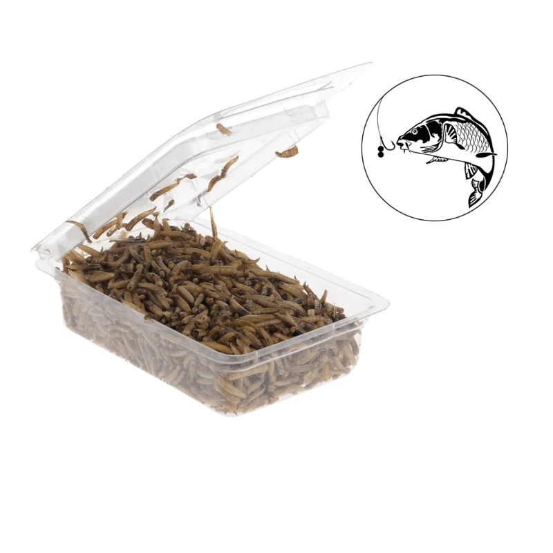 1 Bag 10g Fishing Bait Artificial Lure Clean Dry Worms High Protein Carp Fishing
1 Bag 10g Fishing Bait Artificial Lure Clean Dry Worms High Protein Carp Fishing