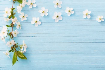 HUAYI Wood Board backdrops white petal on blue wood plank Photocall Studio Photography photoshoot Background props LW-1175
HUAYI Wood Board backdrops white petal on blue wood plank Photocall Studio Photography photoshoot Background props LW-1175