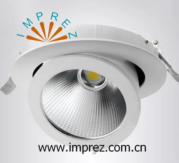 Adjustable 40W COB Trunk lamp LED Downlight Down light lamp recessed Super Bright Indoor Light 85~265V CE RoHS
Adjustable 40W COB Trunk lamp LED Downlight Down light lamp recessed Super Bright Indoor Light 85~265V CE RoHS