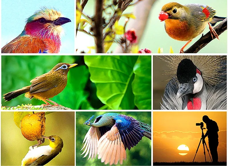 TB2YREYfXXXXXabXXXXXXXXXXXX_!!1698379638