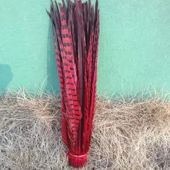 Wholesale 100pcs/lots pretty Dyed 55-60cm/22-24''' copper chicken feather Red pheasant Tail feathers
Wholesale 100pcs/lots pretty Dyed 55-60cm/22-24''' copper chicken feather Red pheasant Tail feathers