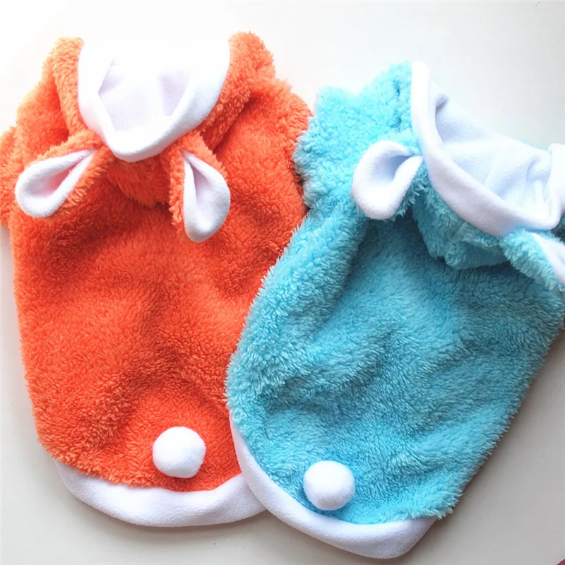 5583501235_361259826