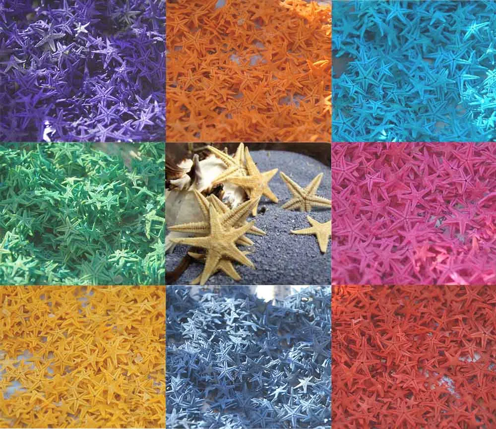 200pcs Colorful Natural 1-2cm Starfish For Moss Terrarium Home Desktop Decor/Crafts/Bonsai/Doll House/Miniatures
200pcs Colorful Natural 1-2cm Starfish For Moss Terrarium Home Desktop Decor/Crafts/Bonsai/Doll House/Miniatures