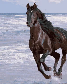 Frameless diy painting by numbers paint by number for home decor PBN for living room 4050 black horses
Frameless diy painting by numbers paint by number for home decor PBN for living room 4050 black horses