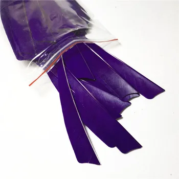 200Pcs 4 inch Shield Turkey Feather Purple High Quality Real Feather Arrow Feathers Outdoor Shooting Competitive Bow And Arrows
200Pcs 4 inch Shield Turkey Feather Purple High Quality Real Feather Arrow Feathers Outdoor Shooting Competitive Bow And Arrows