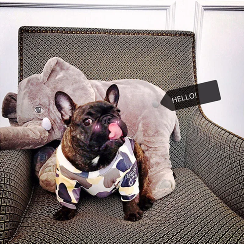 Spring French Bulldog Camouflage T-shirt Dog Clothes for Small Dogs Pet Clothing Chihuahua Sweater Pug Costume Yorkshire Apparel
Spring French Bulldog Camouflage T-shirt Dog Clothes for Small Dogs Pet Clothing Chihuahua Sweater Pug Costume Yorkshire Apparel