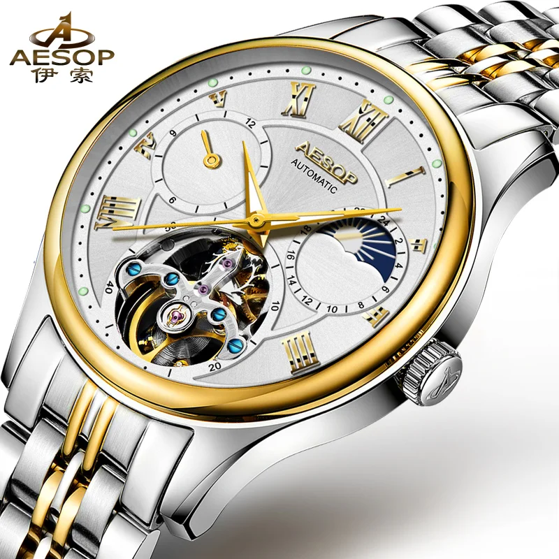 

AESOP tourbillon mechanical watches top brand luxury watch men automatic watch relogio masculino erkek kol saati horloges mannen