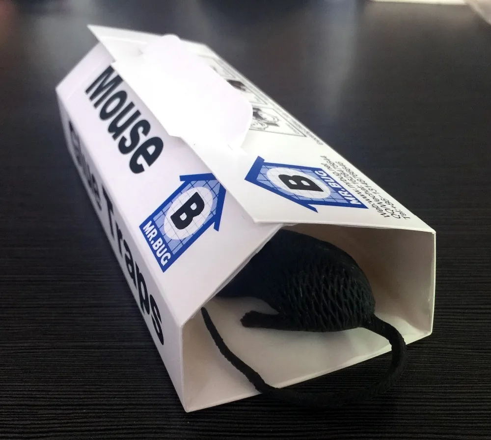 mouse in trap