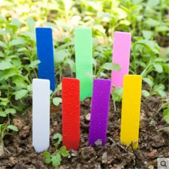 100Pcs 9.7cm Potted plants flowers gardening plastic Slotted Succulents Plant label Plug in waterproof small Insert card
100Pcs 9.7cm Potted plants flowers gardening plastic Slotted Succulents Plant label Plug in waterproof small Insert card