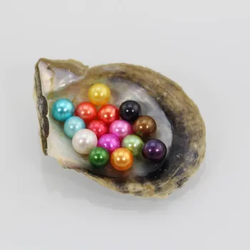 Brightly Colored Rainbow Pearls 6-7mm Round Beauty Luster Akoya Pearls 100% Genuine Freshwater Loose Pearl Beads 27 Colors FP241
Brightly Colored Rainbow Pearls 6-7mm Round Beauty Luster Akoya Pearls 100% Genuine Freshwater Loose Pearl Beads 27 Colors FP241