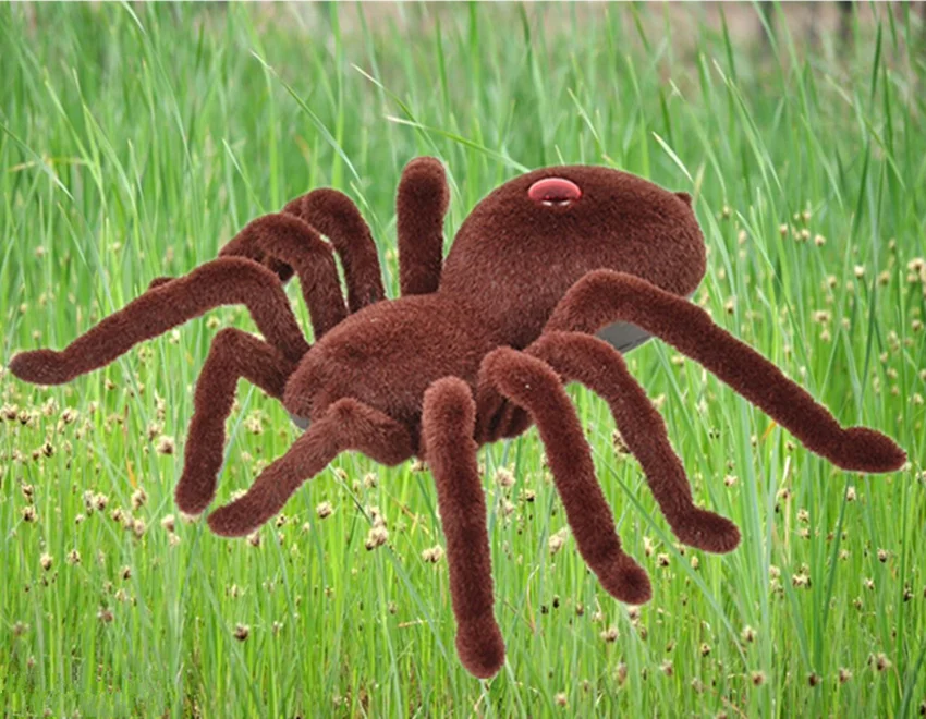 April Fool Halloween Simulation Electric Remote Control Toys Spider Realistic RC Animals Tricky Scary Toy Funny Prank Gift Toys
April Fool Halloween Simulation Electric Remote Control Toys Spider Realistic RC Animals Tricky Scary Toy Funny Prank Gift Toys