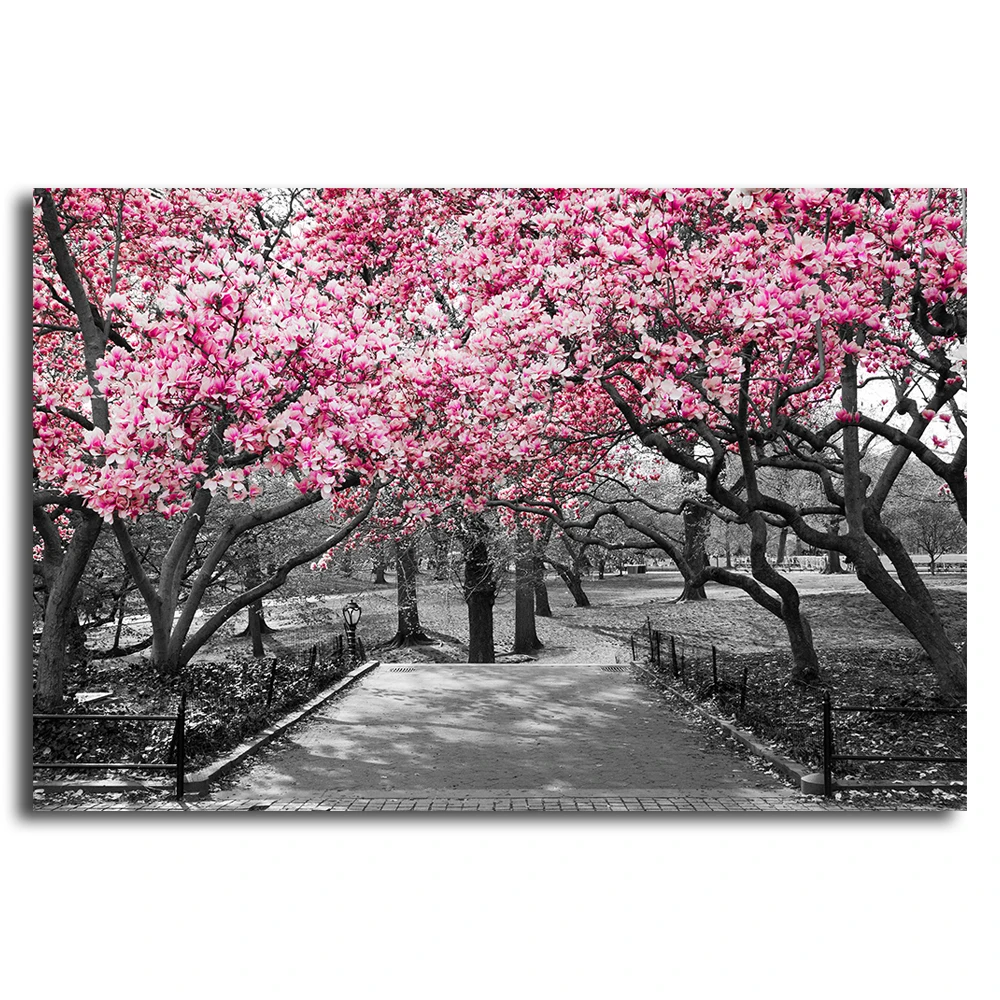 Pink Blossoms in Central Park Black and White Landscape flower Canvas Posters Home Decor Wall Art Pictures Art Scenery
Pink Blossoms in Central Park Black and White Landscape flower Canvas Posters Home Decor Wall Art Pictures Art Scenery