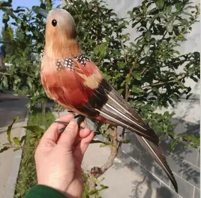 artificial bird 30cm beautiful feathers brown turtledove bird model handicraft ,prop,home garden decoration gift p2690
artificial bird 30cm beautiful feathers brown turtledove bird model handicraft ,prop,home garden decoration gift p2690
