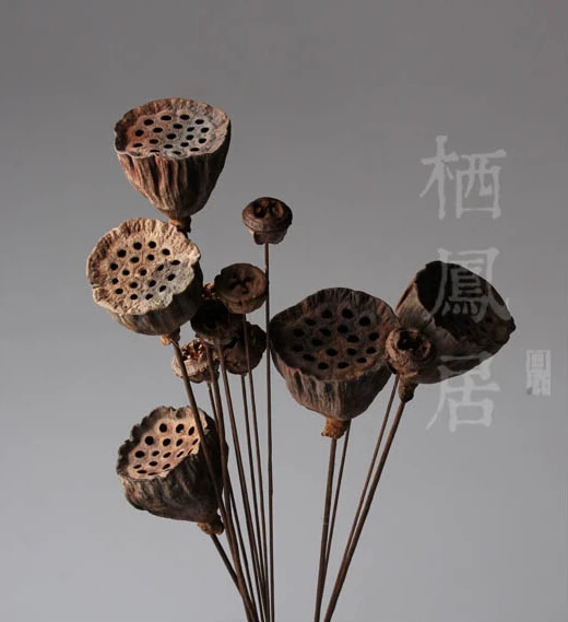 Image 2016 Pure natural dry lotus Original decorative flower arranging dried flower simulation flower home decoration