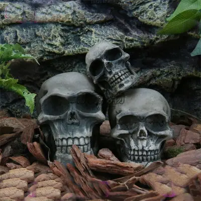 Personality landscaping creative landscaping reptile landscaping aquarium landscaping crafts hoes simulation skull resin
Personality landscaping creative landscaping reptile landscaping aquarium landscaping crafts hoes simulation skull resin