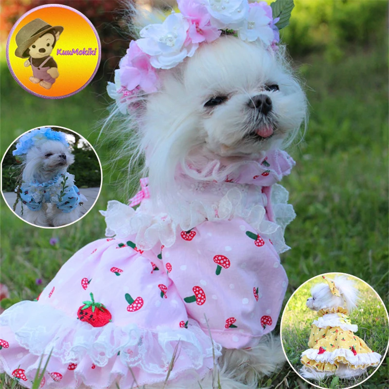 Personalize Design Hand Made Spring Summer Dog Dress Dresses Watermelon Pet Skirt Skirts cat Clothing XS-XL Dog Pet Apparel
Personalize Design Hand Made Spring Summer Dog Dress Dresses Watermelon Pet Skirt Skirts cat Clothing XS-XL Dog Pet Apparel