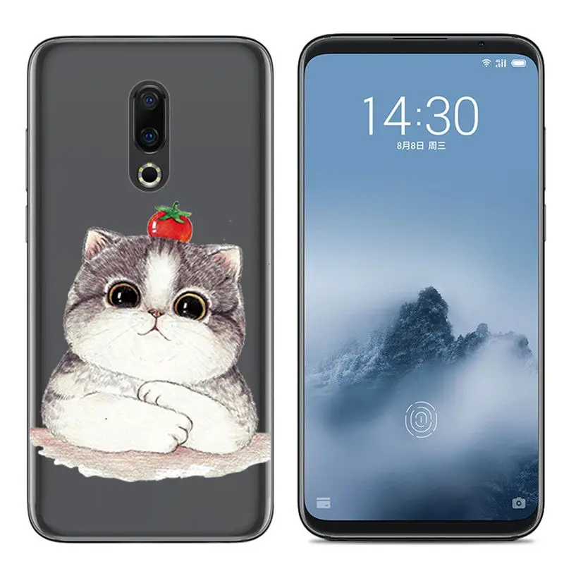 Arvin Silicone Case for Meizu 16 16X 16th 16 Plus Soft TPU Back Cover for Meizu M5C MX6 M6S Pro 6 M5 note M6 note Protect Fundas (3)