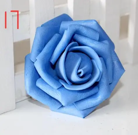 36020170114235905562