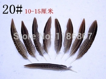 Wholesale beautiful! 100pcs/lot golden pheasant tail feathers plumes 10-15cm Natural Tail Feathers freeshipping KX74
Wholesale beautiful! 100pcs/lot golden pheasant tail feathers plumes 10-15cm Natural Tail Feathers freeshipping KX74