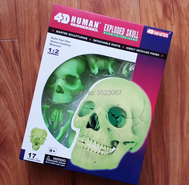 4D master Human Head Anatomy Medical Colorful Didactic Exploded Skull brain skeleton anatomical bones manikin model
4D master Human Head Anatomy Medical Colorful Didactic Exploded Skull brain skeleton anatomical bones manikin model