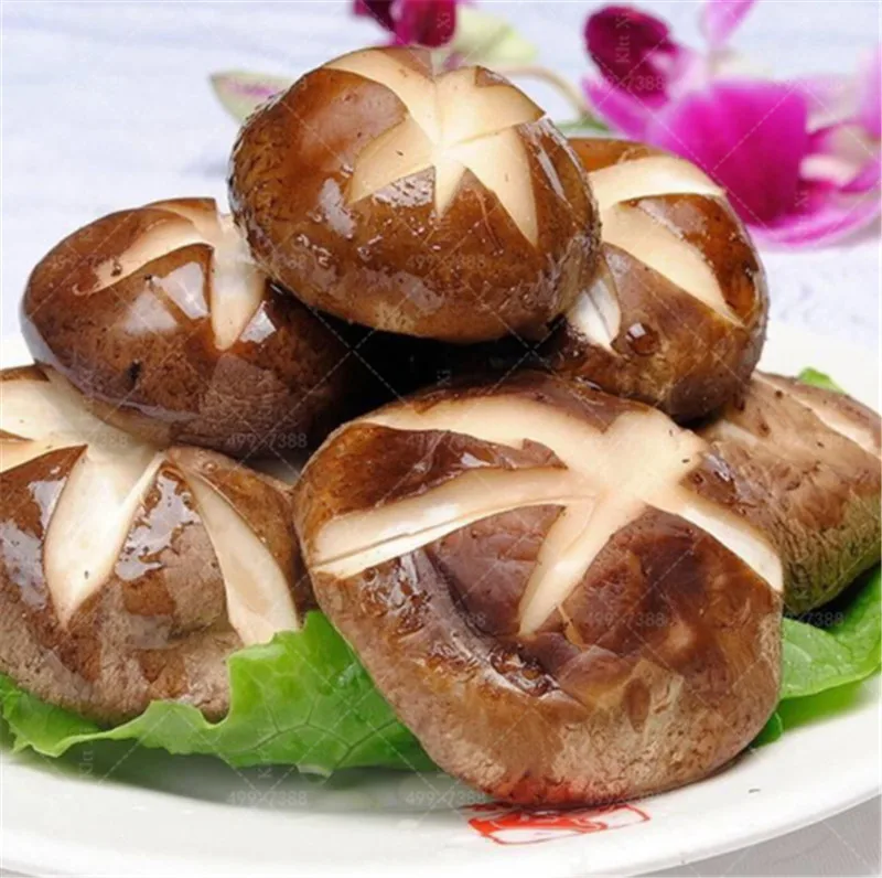 Hot Sale 100 pcs a variety of mixed edible mushrooms, Delicious mushroom strains plants bonsai fruit vegetables garden
Hot Sale 100 pcs a variety of mixed edible mushrooms, Delicious mushroom strains plants bonsai fruit vegetables garden
