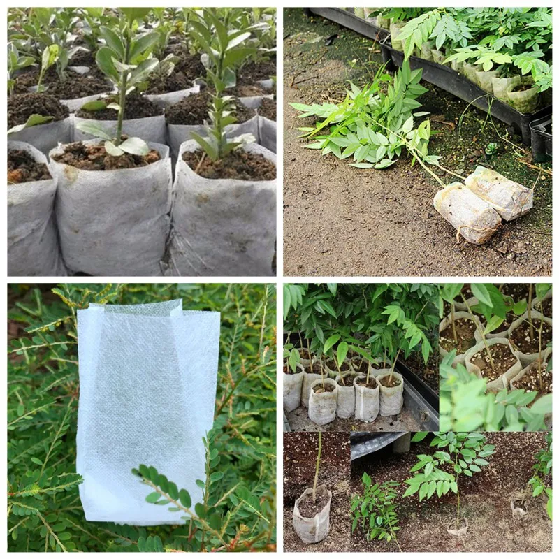 Growth bag non-woven seedling bag 20*22cm100pcs gardening supplies
Growth bag non-woven seedling bag 20*22cm100pcs gardening supplies