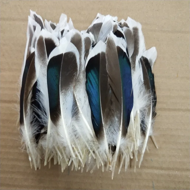 10 pcs Natural quality pheasant feathers 4-6" / 10-15cm duck feather diy jewelry decorative accessories
10 pcs Natural quality pheasant feathers 4-6" / 10-15cm duck feather diy jewelry decorative accessories