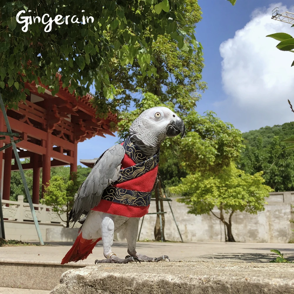 Gingerain Bird clothes Parrot clothes Han suit genteel original hand-made custom bird clothes Han suit genteel
Gingerain Bird clothes Parrot clothes Han suit genteel original hand-made custom bird clothes Han suit genteel