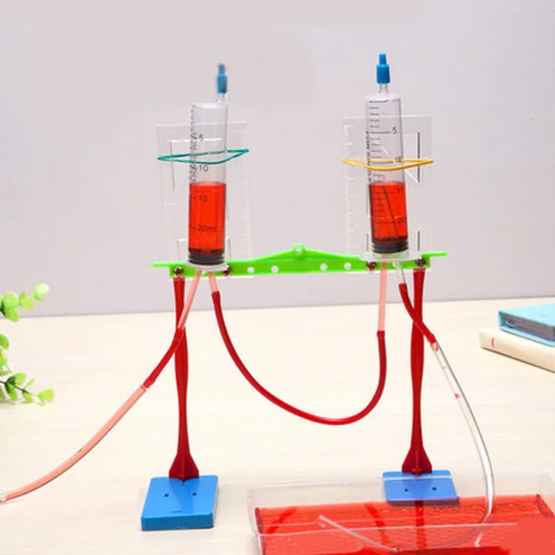 1 Set Educational Sciences Physical Experiment Fountain Equipment Models for Assembly DIY Kids Toys Children Technology Material
1 Set Educational Sciences Physical Experiment Fountain Equipment Models for Assembly DIY Kids Toys Children Technology Material