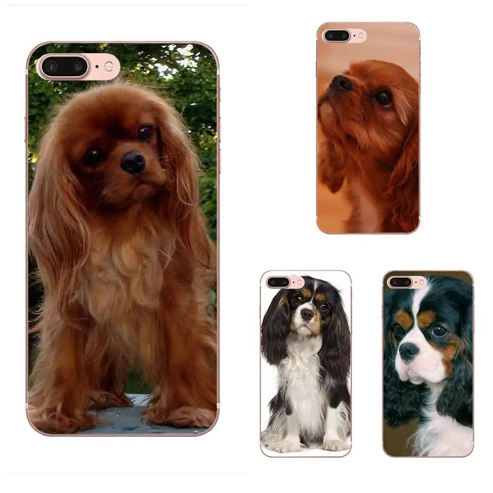 Cavalier King Charles Spaniel Dog Puppies For Apple iPhone 4 4S 5 5C 5S SE 6 6S 7 8 Plus X XS Max XR Soft Design Phone
Cavalier King Charles Spaniel Dog Puppies For Apple iPhone 4 4S 5 5C 5S SE 6 6S 7 8 Plus X XS Max XR Soft Design Phone