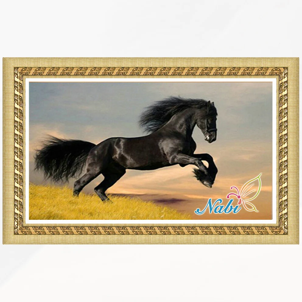 animals horse kits dmc rhinestone 0161R - Round Diamond embroidery cross stitch diamond mosaic painting
animals horse kits dmc rhinestone 0161R - Round Diamond embroidery cross stitch diamond mosaic painting