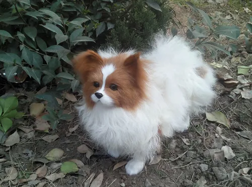 28x27cm simulation Papillon model butterfly dog,polyethylene&furs handicraft Figurines&Miniatures decoration toy gift a2912
28x27cm simulation Papillon model butterfly dog,polyethylene&furs handicraft Figurines&Miniatures decoration toy gift a2912