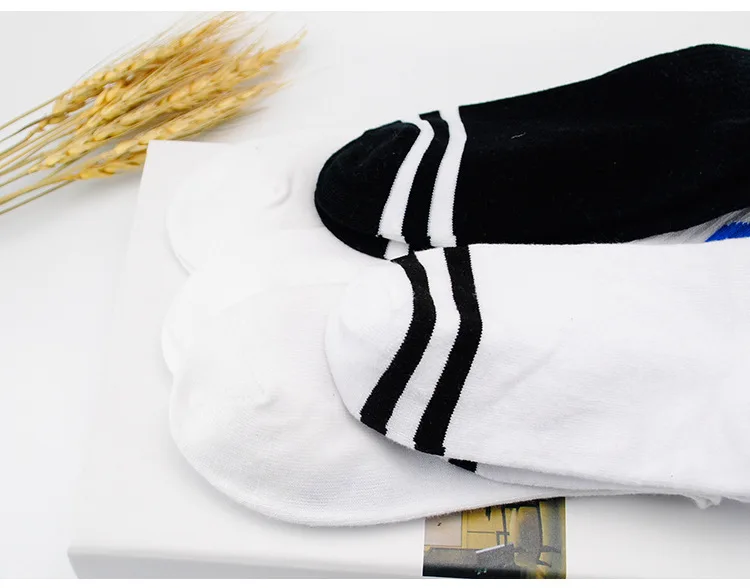 8858726955_1922559970