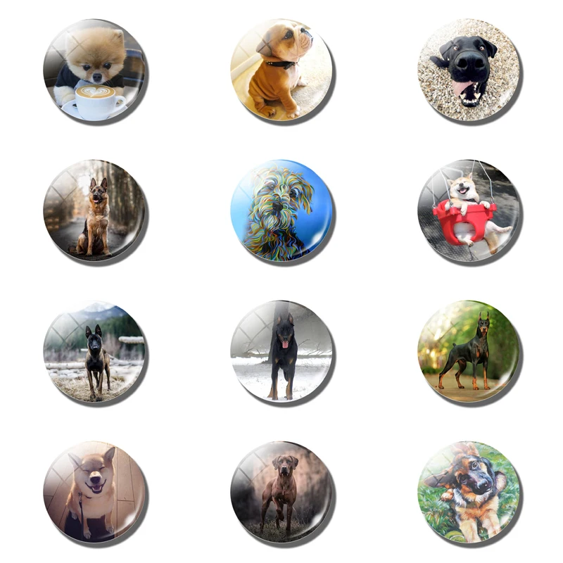 25 MM/12pcs Dog Fridge Magnet Puppy Friends Round Glass Dome Magnetic Refrigerator Sticker Cute Home Decor Dog Lover Gift
25 MM/12pcs Dog Fridge Magnet Puppy Friends Round Glass Dome Magnetic Refrigerator Sticker Cute Home Decor Dog Lover Gift