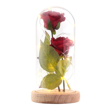 20-LEDs Night Light String light Artificial Silk Red Pink Rose Glass Lampshade DIY Home Decor birthday Mother's Day Gif
20-LEDs Night Light String light Artificial Silk Red Pink Rose Glass Lampshade DIY Home Decor birthday Mother's Day Gif
