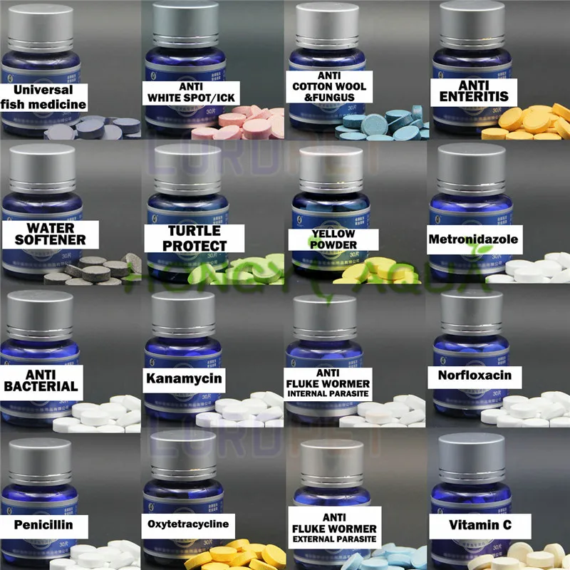 100 pieces/bottle small blue bottle fish medicine aquarium supplies regular drug medicinebasic health care
100 pieces/bottle small blue bottle fish medicine aquarium supplies regular drug medicinebasic health care