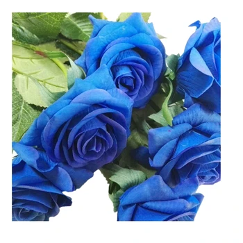 10 pcs Latex Real Touch Rose Decor Rose Artificial Flowers Silk Flowers Floral Wedding Bouquet Home Party Design Flowers(blue)
10 pcs Latex Real Touch Rose Decor Rose Artificial Flowers Silk Flowers Floral Wedding Bouquet Home Party Design Flowers(blue)