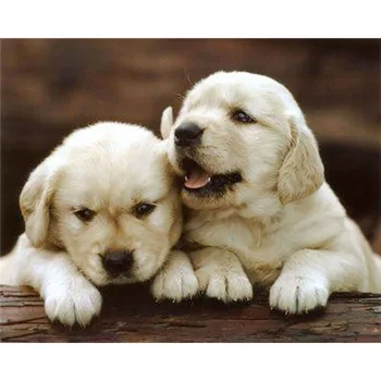 5D DIY full diamond painting mosaic cross stitch Two white dogs diamond embroidery mosaic decoration
5D DIY full diamond painting mosaic cross stitch Two white dogs diamond embroidery mosaic decoration