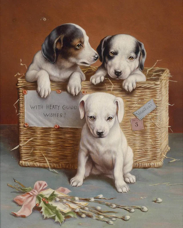 5D DIY Diamond Painting "animal cute dogs" Of Rhinestones Full circular Diamond Embroidery Home Decor
5D DIY Diamond Painting "animal cute dogs" Of Rhinestones Full circular Diamond Embroidery Home Decor
