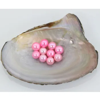 2018 New DIY Round 28 Colors Natural Seawater Pearl 6-7MM Loose Beads Of Pearl Accessories Wholesale Pink LR006
2018 New DIY Round 28 Colors Natural Seawater Pearl 6-7MM Loose Beads Of Pearl Accessories Wholesale Pink LR006
