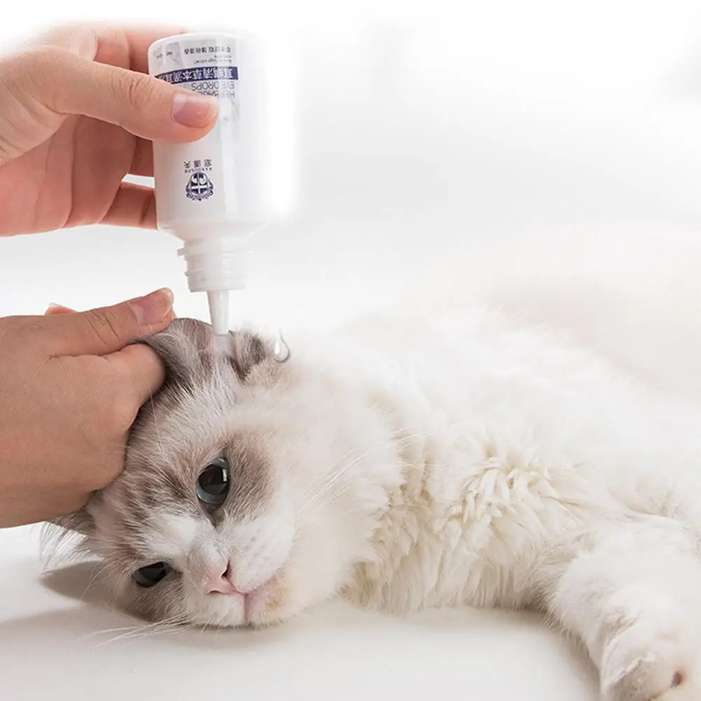 TPFOCUS 60ml Pet Cat and Dog Ear Cleaner Ear Drops Eliminate Ear Mites Reduce Inflammation Relieve Itching for Cat Dog Cleaner
TPFOCUS 60ml Pet Cat and Dog Ear Cleaner Ear Drops Eliminate Ear Mites Reduce Inflammation Relieve Itching for Cat Dog Cleaner