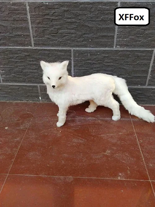 big simulation fox model polyethylene&furs white fox doll gift about 60x40cm xf0761
big simulation fox model polyethylene&furs white fox doll gift about 60x40cm xf0761